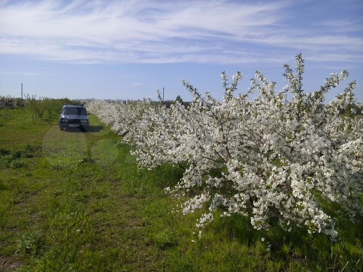 Участок 100 сот. (СНТ, ДНП)