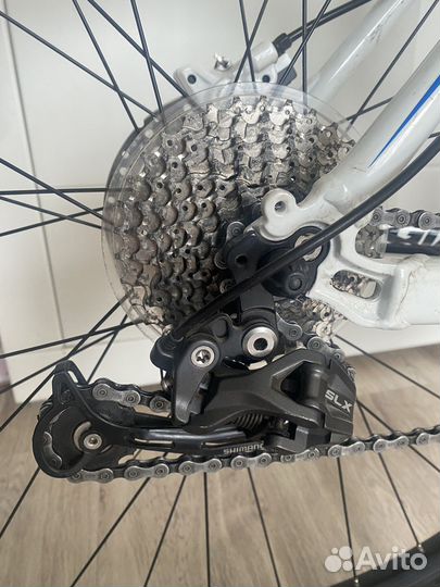 Giant talon 29