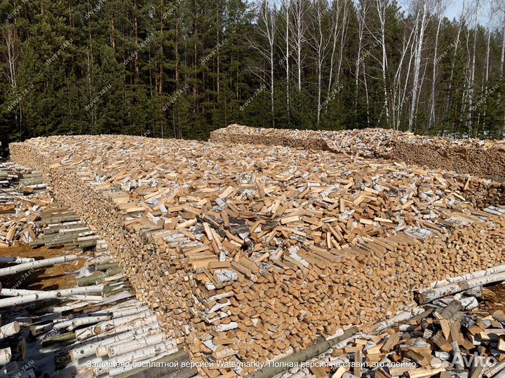 Дрова березовые колотые