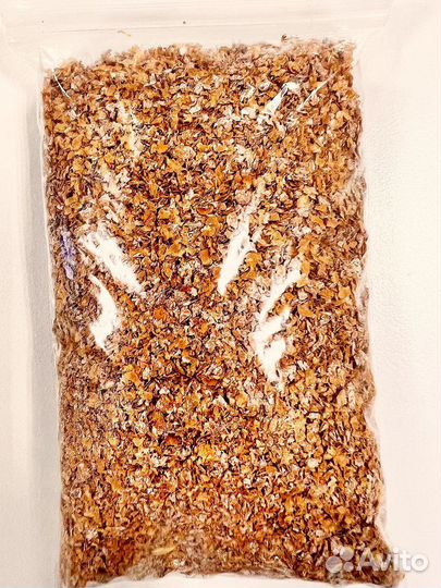 Живой корм для полезных клопов