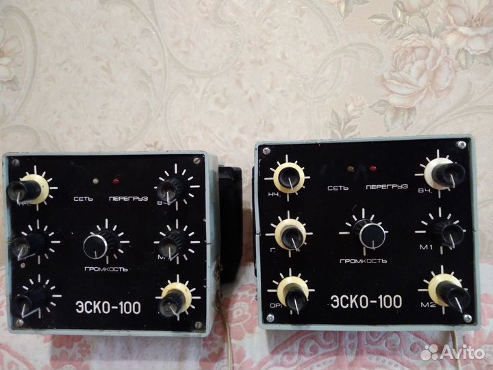 Усилитель моно Эско-100 (2-шт.)