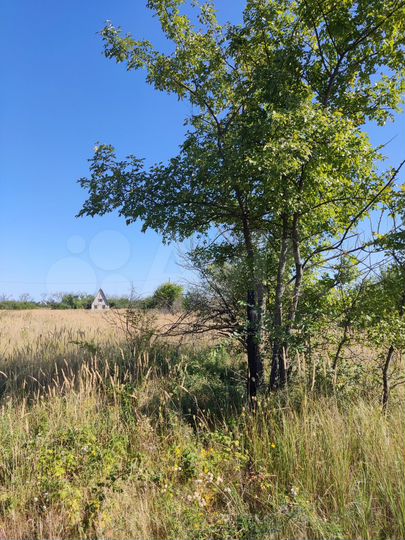 Участок 12 сот. (СНТ, ДНП)