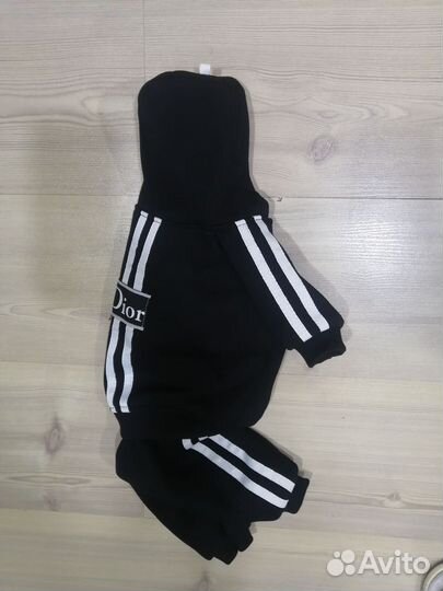 Одежда для собак