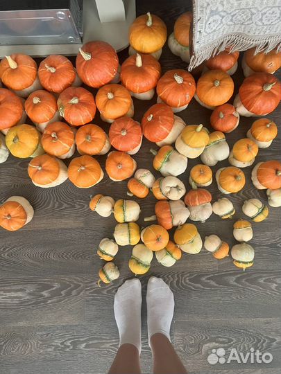 Семена тыква чалмовидная декоративная