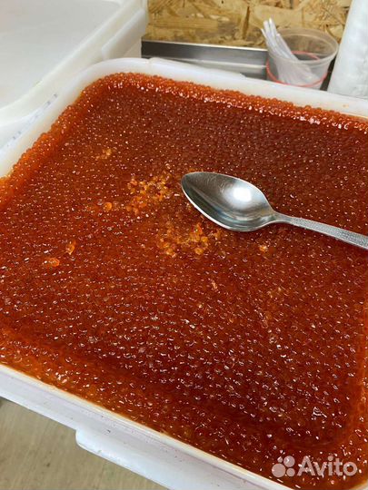 Рыба и морепродукты