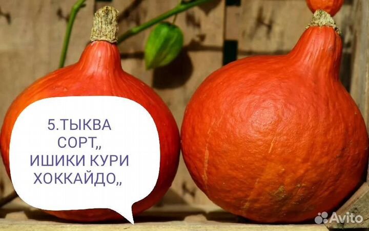 Семена тыквы