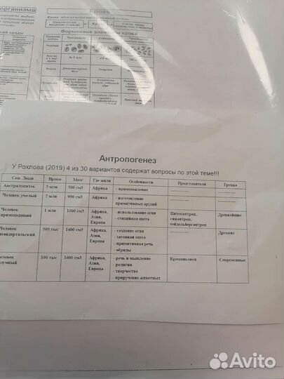 Конспекты егэ по биологии