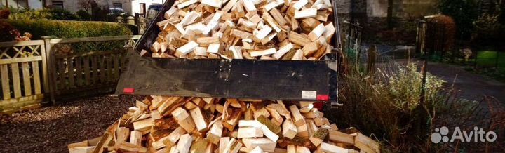 Дрова березовые