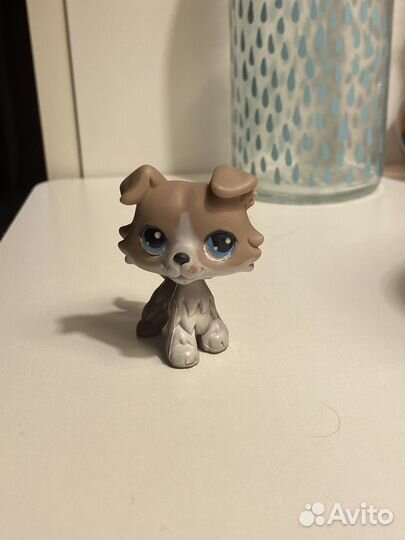 Littlest Pet Shop