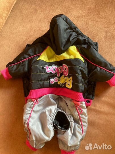 Одежда для собак