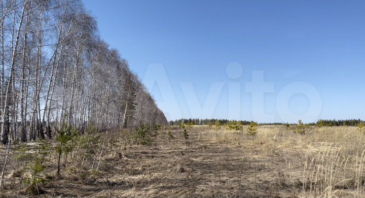 Участок 111 га (СНТ, ДНП)