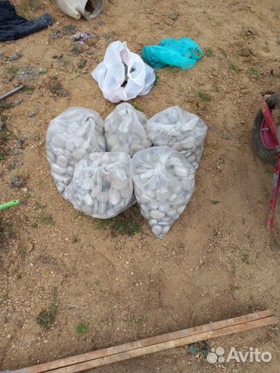 Чистка и профилактика питьевых колодцев