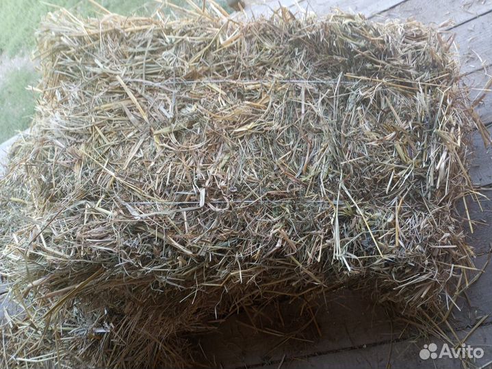 Сено в тюках, разнотравье