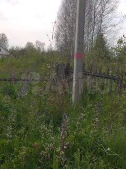 Участок 25 сот. (ИЖС)