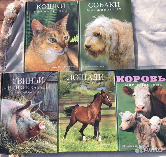 Мир животных Белфакс