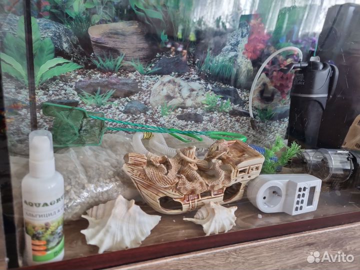 Аквариум с аксессуарами