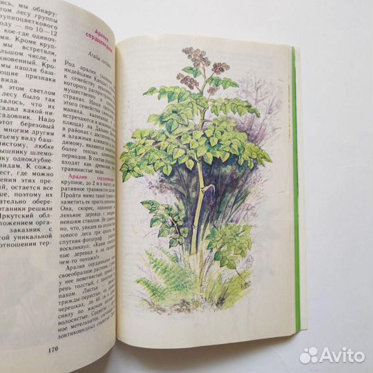 Книги о природе, растениях, о лесе с красивыми илл