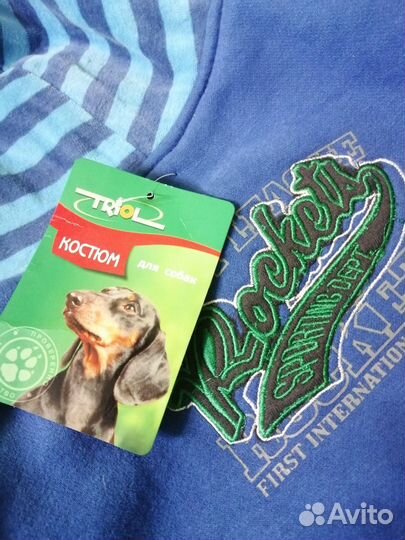 Костюм для собаки