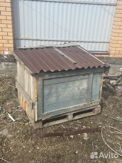 Будка для большой собаки