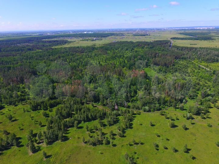 Участок 10 сот. (ИЖС)