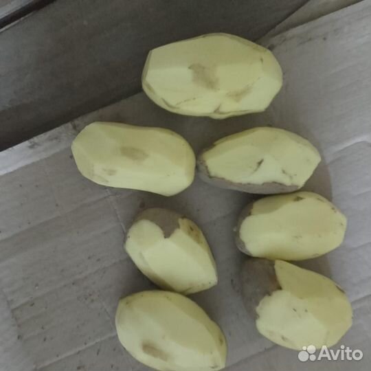 Картофель опт