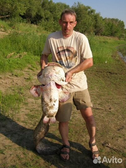 Рыболовная база отдыха Золотая Дельта