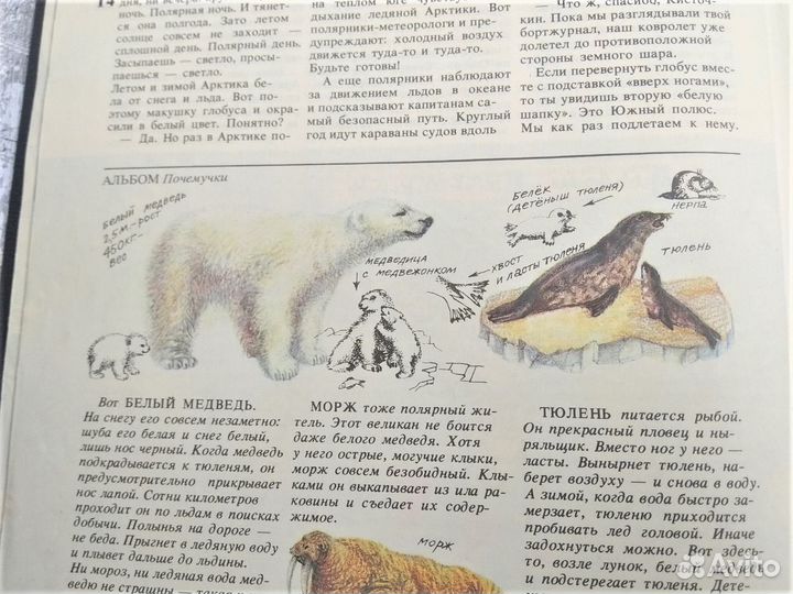 Книга Почемучка
