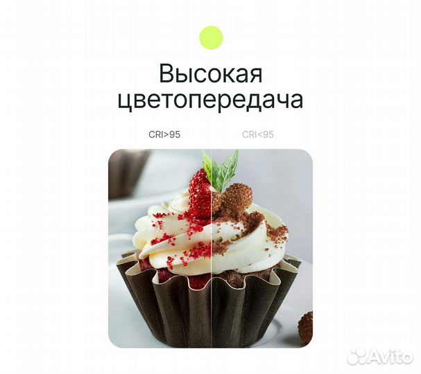 Осветитель светодиодный Raylab RL-LED08BI-2 2500-6