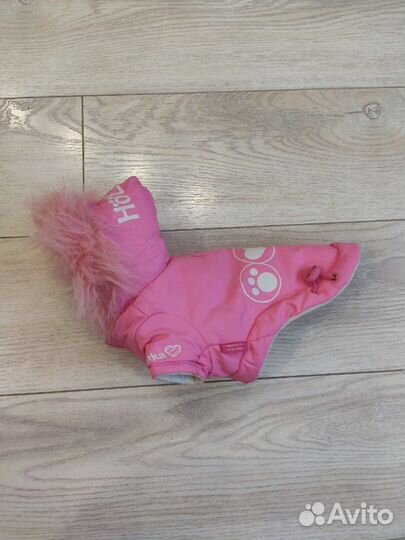 Одежда для маленьких собак