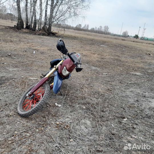 Ирбис ттр250р