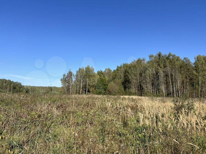 Участок 1,15 га (СНТ, ДНП)