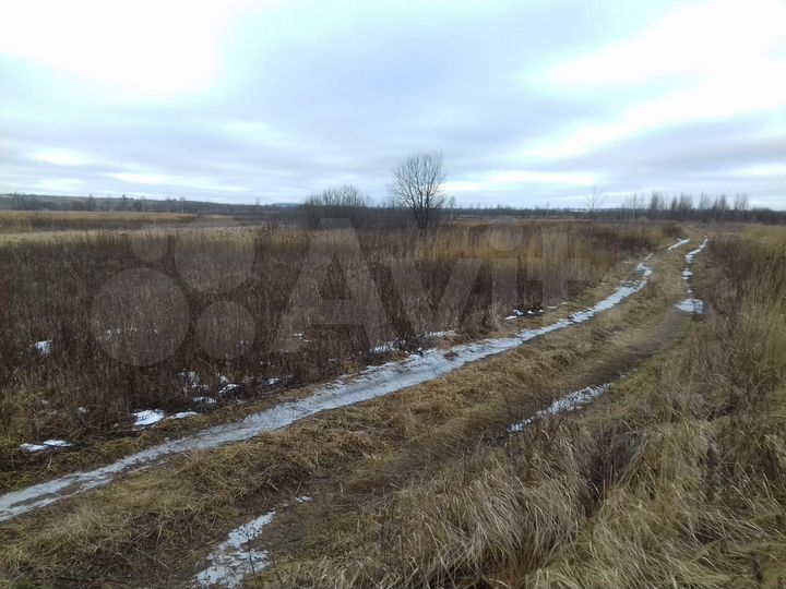 Участок 16 сот. (ИЖС)