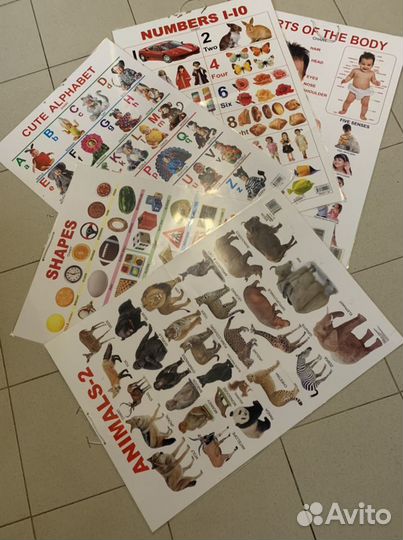 Обучающие пособия по английскому языку