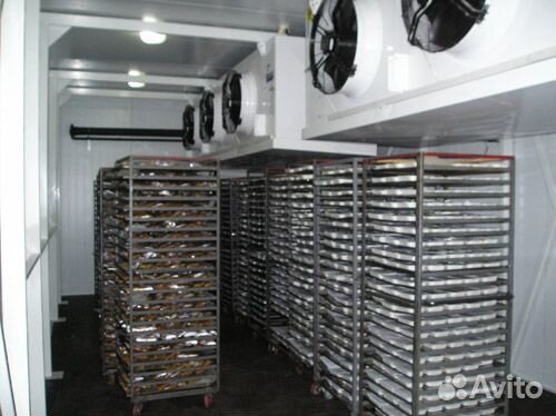 Услуги по шоковой заморозке продуктов