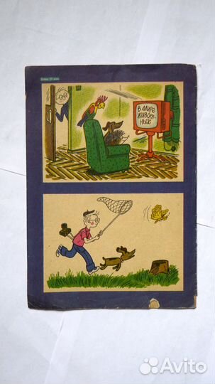 Приключения юнната Синичкина Игната