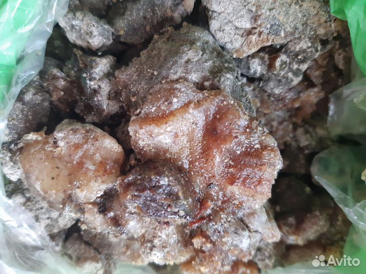 Бальзам на кедре (терпентиновый)