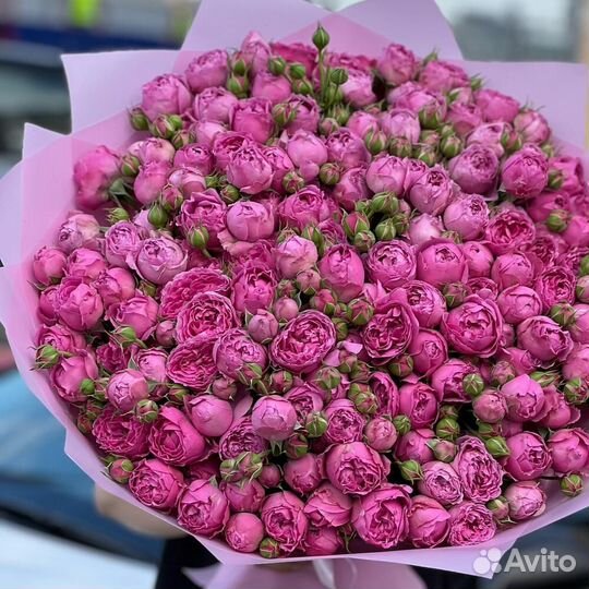 61 Пионовидная Кустовые Розы / цветы с доставкой