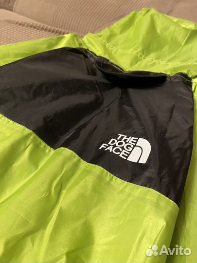 Комбинезон для собаки