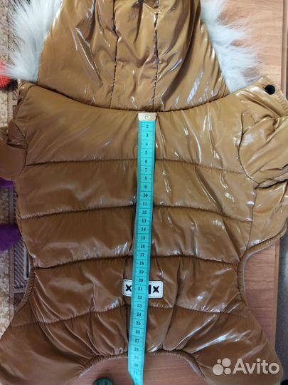 Одежда для маленькой собачки