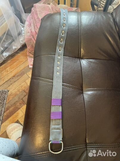 Ошейник на пряжке