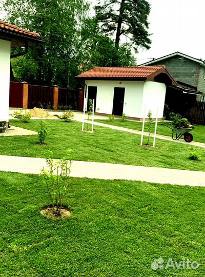 Рулонный газон