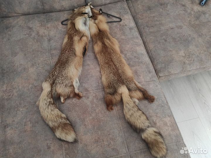 Лисья шкура