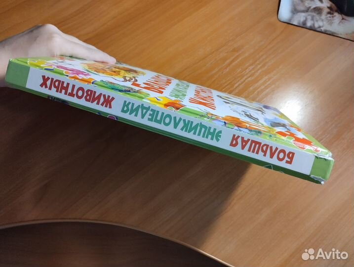 Энциклопедия