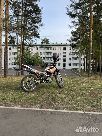 Racer Panther 300