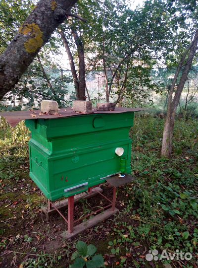 Продается пасека