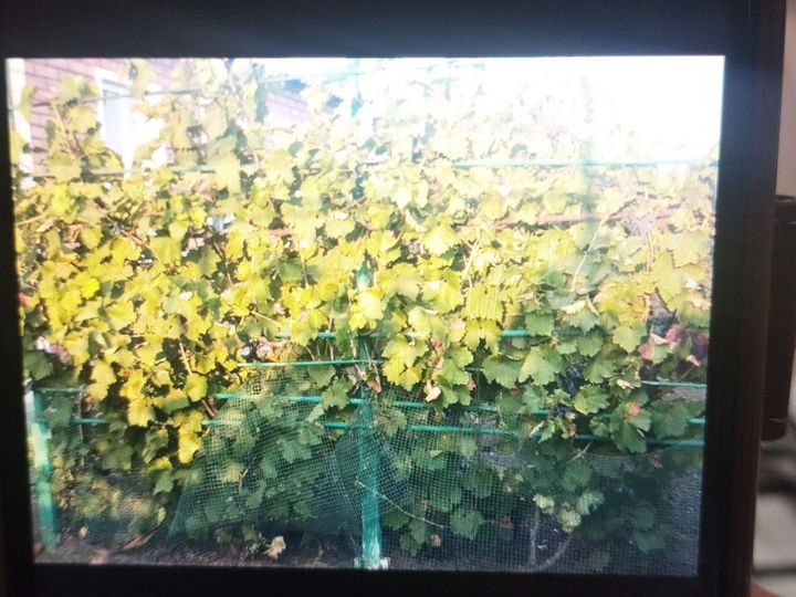 Дом 58 м² на участке 36 сот.