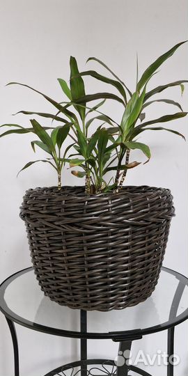 Кашпо из искусственного ротанга