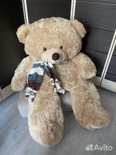 Плюшевый медведь