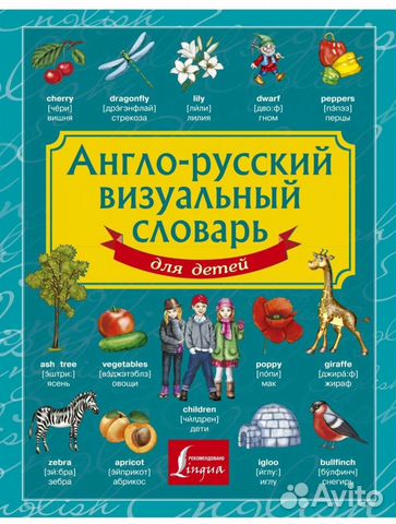 Англо-русский визуальный словарь