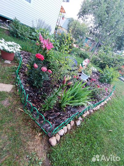 Кора сосновая/мульча С доставкой